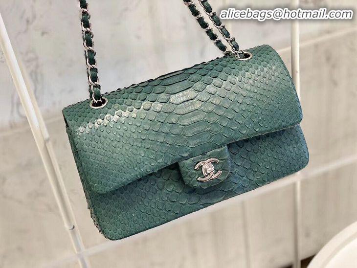 Grade Quality Chanel 2.55 Series Flap Bag Original Snake Leather AP1112 Green Silver