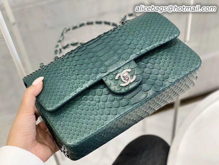 Grade Quality Chanel 2.55 Series Flap Bag Original Snake Leather AP1112 Green Silver