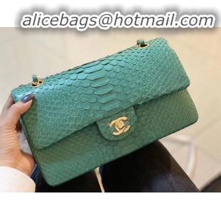 Famous Brand Chanel 2.55 Series Flap Bag Original Snake Leather AP1112 Green Gold