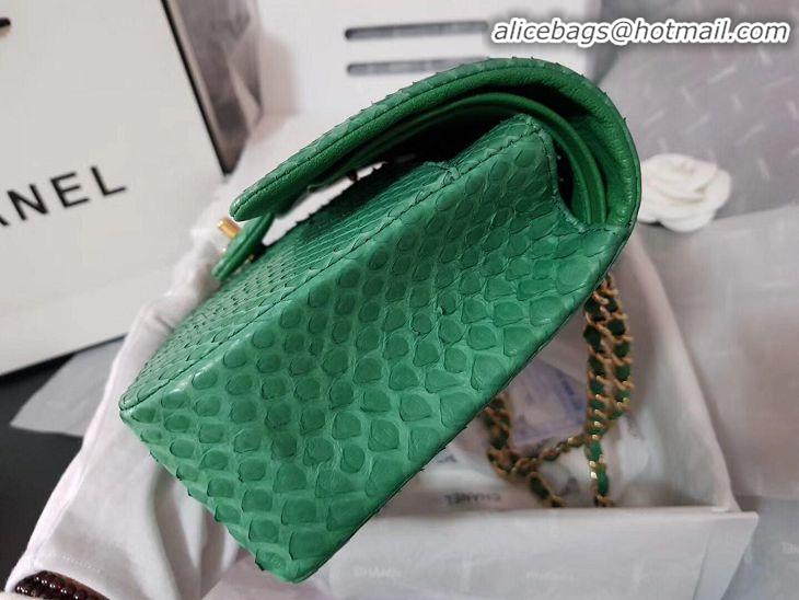 Famous Brand Chanel 2.55 Series Flap Bag Original Snake Leather AP1112 Green Gold