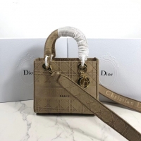 Pretty Style LADY DIOR TOTE BAG IN EMBROIDERED CANVAS C4532 apricot