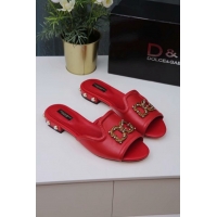 Stylish Dolce&Gabbana D&G Slippers #691046