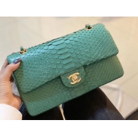 Famous Brand Chanel 2.55 Series Flap Bag Original Snake Leather AP1112 Green Gold