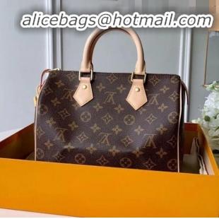 New Design Louis Vuitton Monogram Canvas Speedy 25 Top Handle Bag M41109 2020 