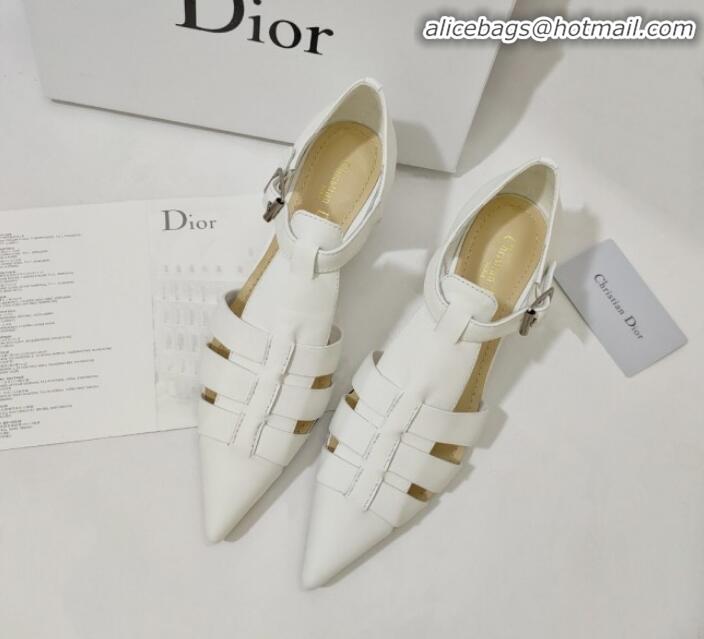 Perfect Dior Sauvage Calfskin Strap Pumps G22340 White 2020