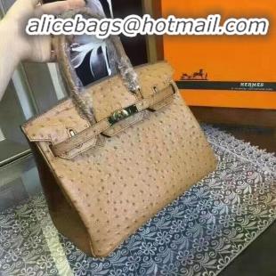 Design Discount Hermes Birkin 30cm Ostrich Veins Leather Bag 6088 Apricot Gold