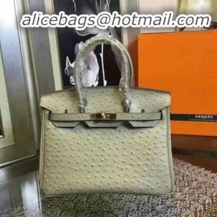 Cheap Hermes Birkin 30cm Ostrich Veins Leather Bag 6088 Beige Gold