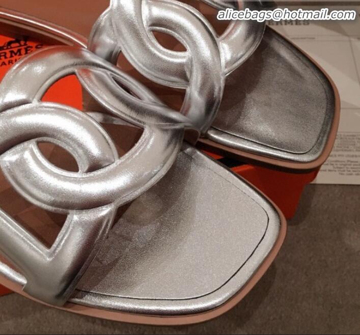 Well Crafted Hermes Aloha Calfskin Fringe Flat Slide Sandal H031409 Silver 2020