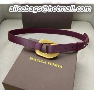 Promotional Bottega Veneta Leather Belt Width 25mm with Metal Framed Buckle BV10611 Burgundy