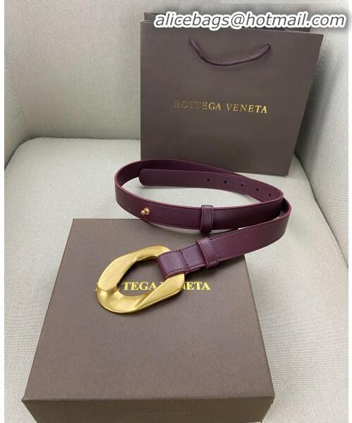 Promotional Bottega Veneta Leather Belt Width 25mm with Metal Framed Buckle BV10611 Burgundy