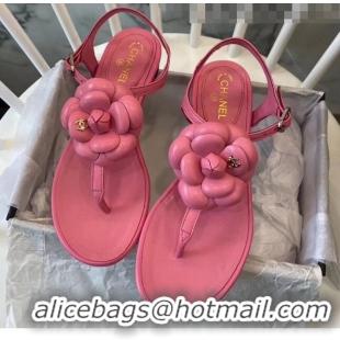 Buy Discount Chanel Lambskin Classic Camellia Thong Sandals BV2301 Pink 2020