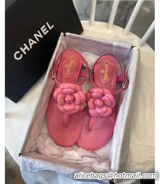 Buy Discount Chanel Lambskin Classic Camellia Thong Sandals BV2301 Pink 2020