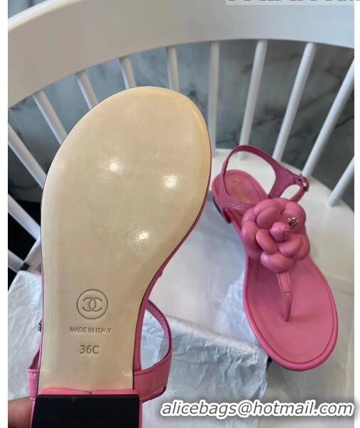 Buy Discount Chanel Lambskin Classic Camellia Thong Sandals BV2301 Pink 2020