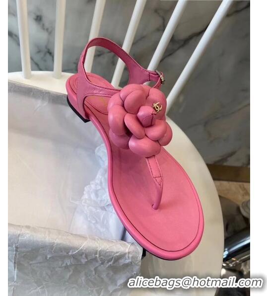 Buy Discount Chanel Lambskin Classic Camellia Thong Sandals BV2301 Pink 2020