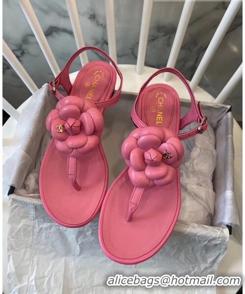 Buy Discount Chanel Lambskin Classic Camellia Thong Sandals BV2301 Pink 2020