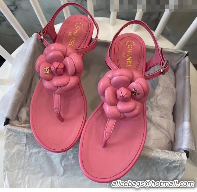 Buy Discount Chanel Lambskin Classic Camellia Thong Sandals BV2301 Pink 2020