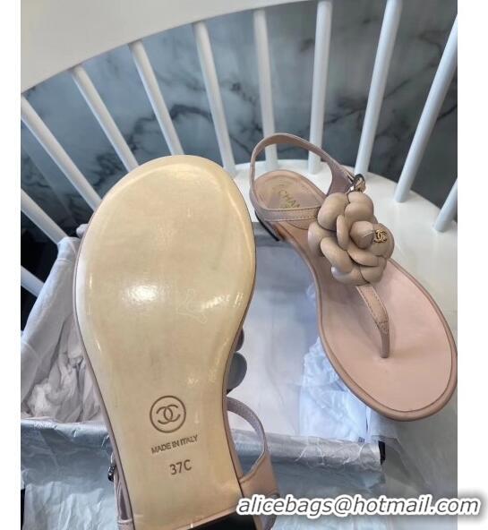 Buy Discount Chanel Lambskin Classic Camellia Thong Sandals BV2301 Nude 2020