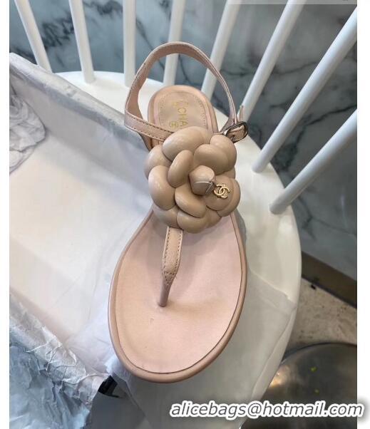 Buy Discount Chanel Lambskin Classic Camellia Thong Sandals BV2301 Nude 2020