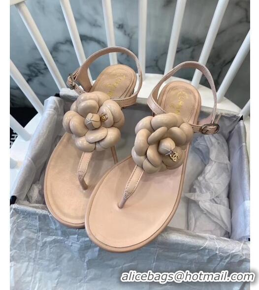 Buy Discount Chanel Lambskin Classic Camellia Thong Sandals BV2301 Nude 2020