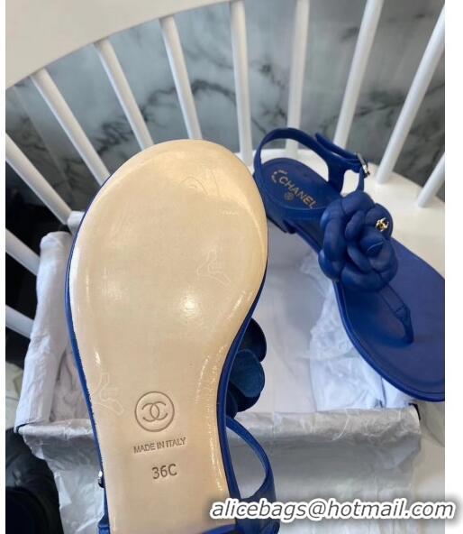 Specials Chanel Lambskin Classic Camellia Thong Sandals BV2301 Blue 2020