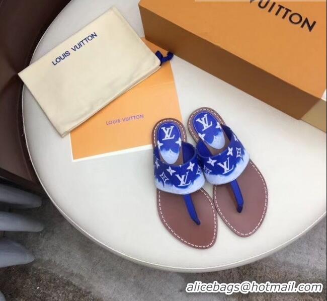 Buy Cheap Louis Vuitton LV Escale Palma Flat Thong Sandals LV0629 Blue 2020