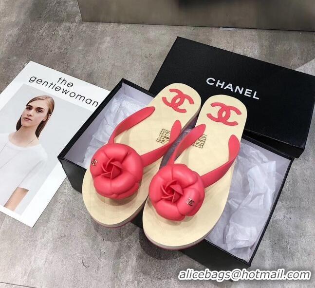 Discount Chanel Rubber Camellia Thong Slides Sandals G02125 Hot Pink 2020