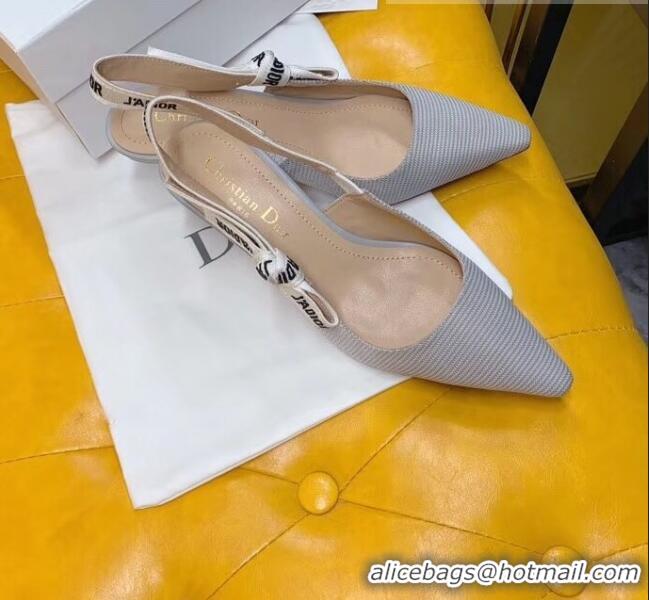 Inexpensive Dior J'Adior Slingback Pumps in Technical Fabric CD1802 Grey 6.5cm Heel 2020