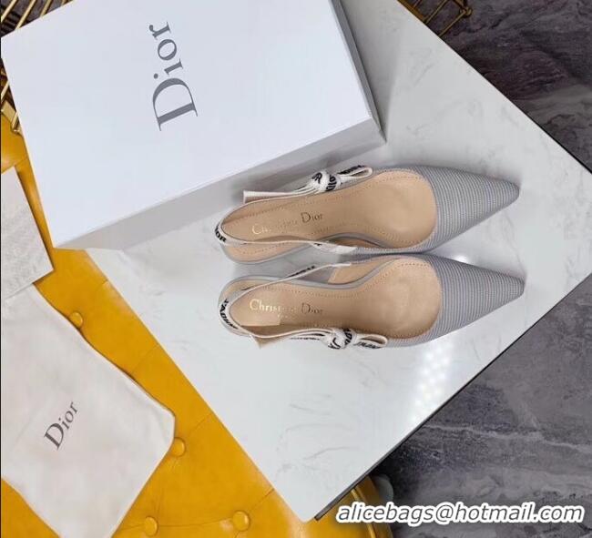 Inexpensive Dior J'Adior Slingback Pumps in Technical Fabric CD1802 Grey 6.5cm Heel 2020