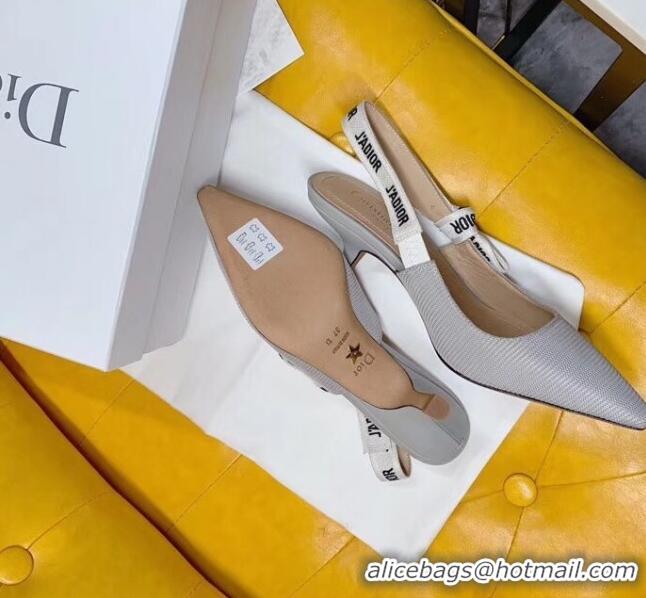 Inexpensive Dior J'Adior Slingback Pumps in Technical Fabric CD1802 Grey 6.5cm Heel 2020