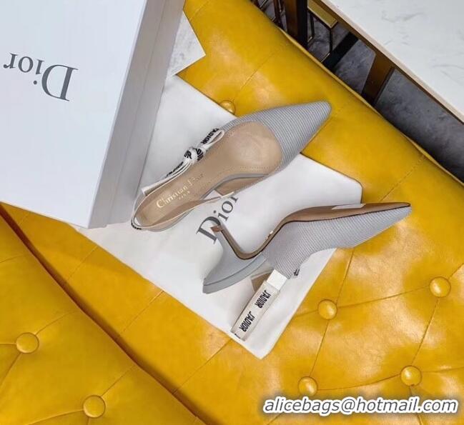 Inexpensive Dior J'Adior Slingback Pumps in Technical Fabric CD1802 Grey 6.5cm Heel 2020