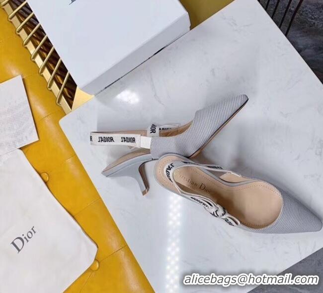 Inexpensive Dior J'Adior Slingback Pumps in Technical Fabric CD1802 Grey 6.5cm Heel 2020