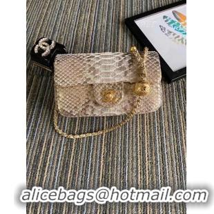 Best Price Chanel Original Small Snake skin flap bag AS1116 apricot