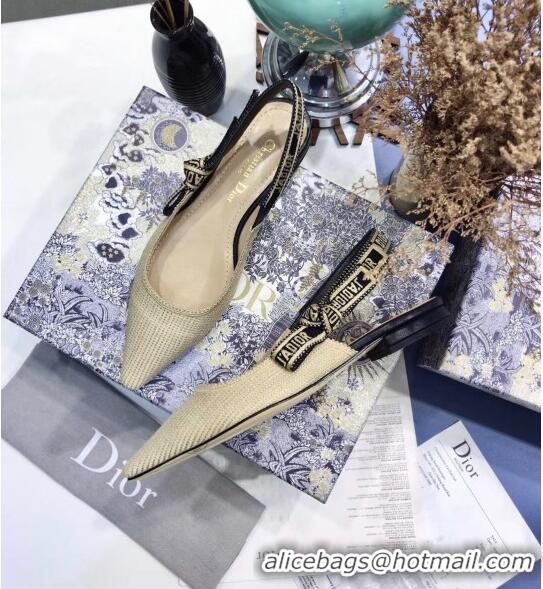 Top Quality Dior J'Adior Technical Fabric Slingback Ballerina Flat CD1824 Beige