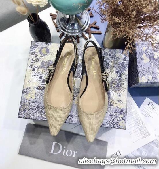 Top Quality Dior J'Adior Technical Fabric Slingback Ballerina Flat CD1824 Beige