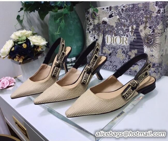 Top Quality Dior J'Adior Technical Fabric Slingback Ballerina Flat CD1824 Beige