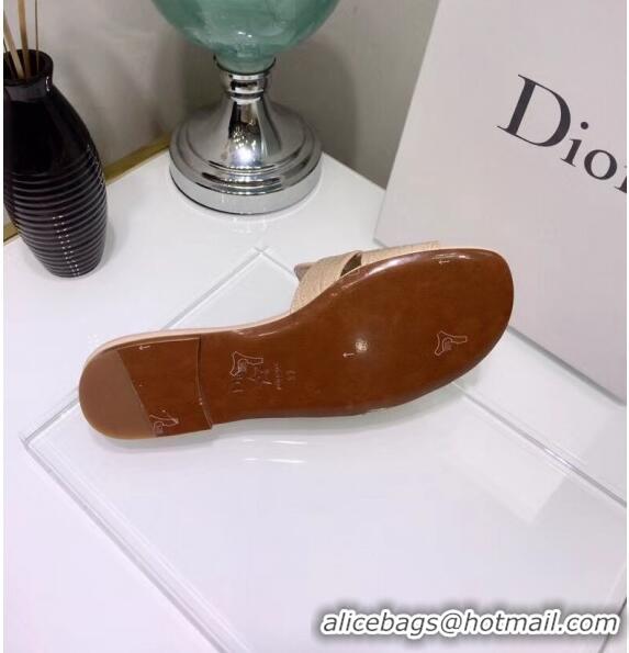 Inexpensive Dior 30 MONTAIGNE Mule Flat Sandals in Crocodile Pattern Calfskin CD1404 Beige