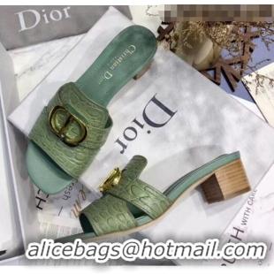 Buy Discount Dior 30 MONTAIGNE Heeled Slide Sandals in Crocodile Pattern Calfskin CD1405 Light Green 2020