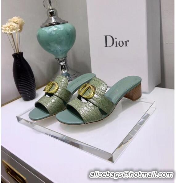 Buy Discount Dior 30 MONTAIGNE Heeled Slide Sandals in Crocodile Pattern Calfskin CD1405 Light Green 2020