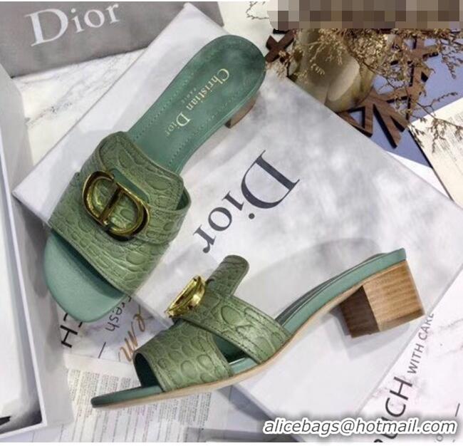 Buy Discount Dior 30 MONTAIGNE Heeled Slide Sandals in Crocodile Pattern Calfskin CD1405 Light Green 2020