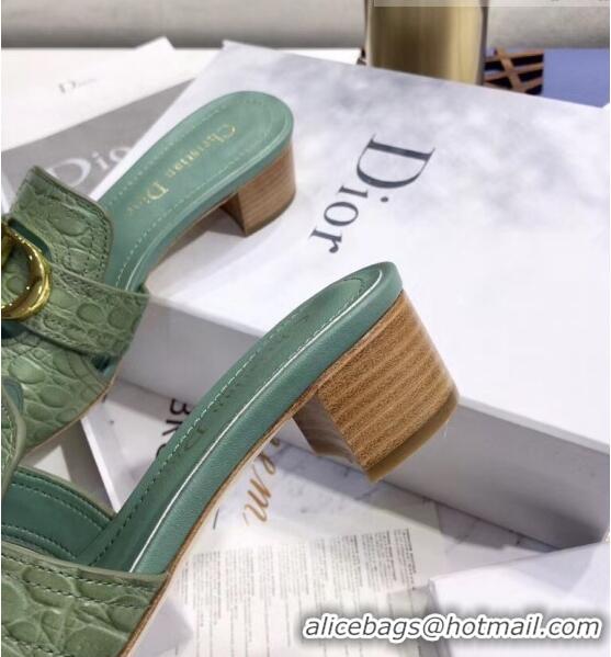 Buy Discount Dior 30 MONTAIGNE Heeled Slide Sandals in Crocodile Pattern Calfskin CD1405 Light Green 2020