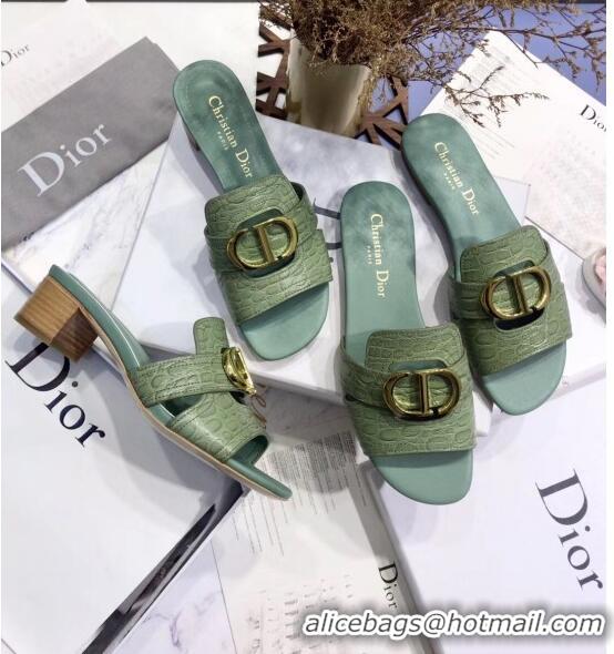 Buy Discount Dior 30 MONTAIGNE Heeled Slide Sandals in Crocodile Pattern Calfskin CD1405 Light Green 2020