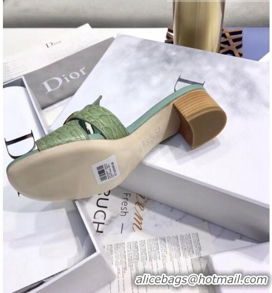 Buy Discount Dior 30 MONTAIGNE Heeled Slide Sandals in Crocodile Pattern Calfskin CD1405 Light Green 2020