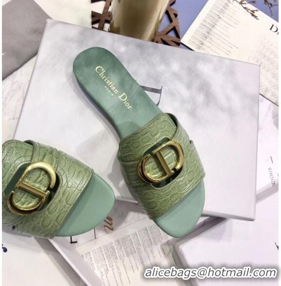 Discount Dior 30 MONTAIGNE Mule Flat Sandals in Crocodile Pattern Calfskin CD1406 Light Green 2020