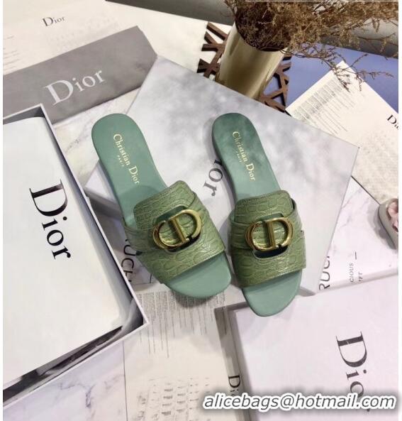 Discount Dior 30 MONTAIGNE Mule Flat Sandals in Crocodile Pattern Calfskin CD1406 Light Green 2020