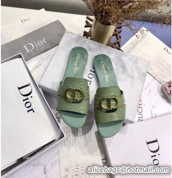 Discount Dior 30 MONTAIGNE Mule Flat Sandals in Crocodile Pattern Calfskin CD1406 Light Green 2020