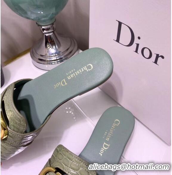 Discount Dior 30 MONTAIGNE Mule Flat Sandals in Crocodile Pattern Calfskin CD1406 Light Green 2020