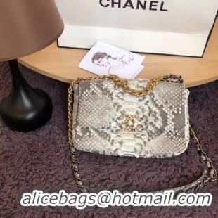 Luxury Cheap CHANEL 19 Flap Bag Original Snake skin flap bag AS1160 grey