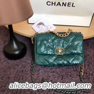 Luxury CHANEL 19 Flap Bag Original Snake skin flap bag AS1160 green