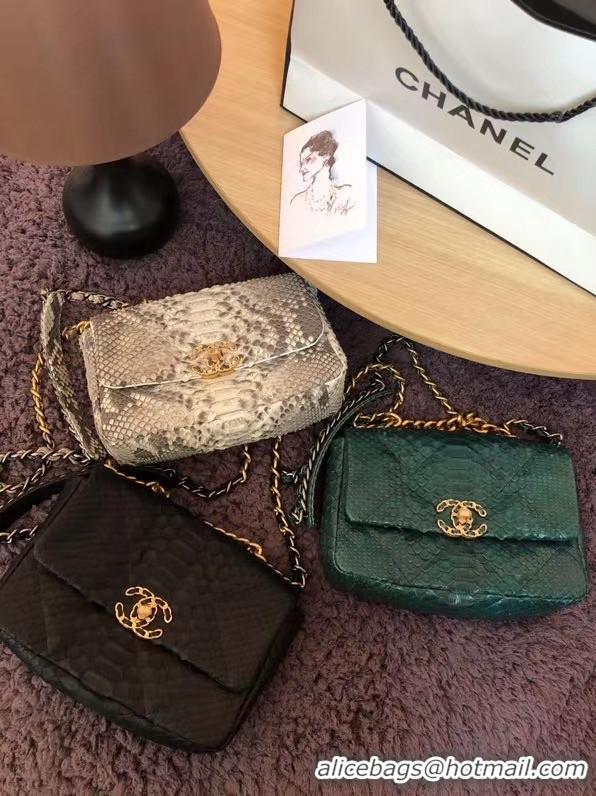 Luxury CHANEL 19 Flap Bag Original Snake skin flap bag AS1160 green