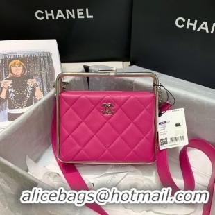 Most Popular Chanel Original Sheepskin Leather clutch bag AS1732 rose